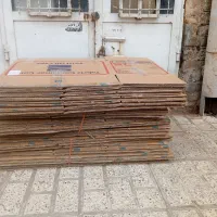 کارتن