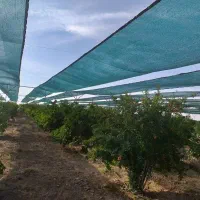تولید کننده شید گلخانه استاندارد