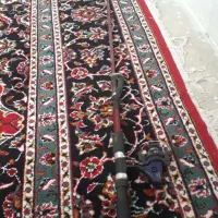 لنسر ماهیگیری