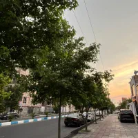 فروش زمین ۵۰۰ متری در پاسداران