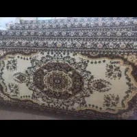 دو جفت پشتی
