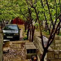 باغ فروشی