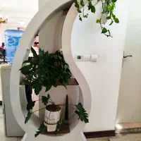 استند گل
