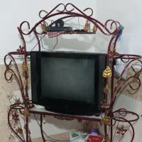 تلویزیون