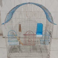 قفس پرنده