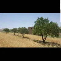 فروش مقدار 650متر زمین در شهر شاپور. آباد