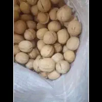 گردوشکستن