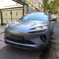 بی وای دی سی لاین / BYD Sealion 06 / پلاک شده