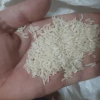 فروش برنج