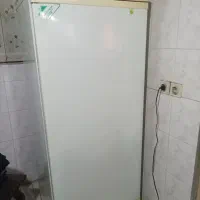 یخچال مارک منارک