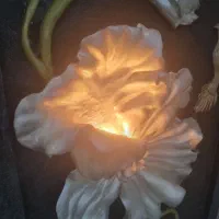تابلو گچ بری مدرن
