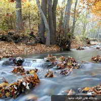 طبیعت گردی