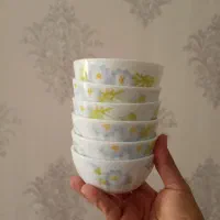 ظرف چینی و پیرکس