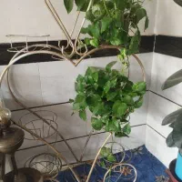 استندگل چوبی وفلزی