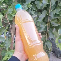 سرکه سیب خالص و طبیعی