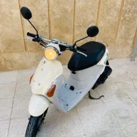 پاکشتی پالت