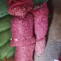 سیر ریز مناسب برای ترشی دونه دار