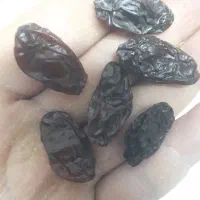 مویز درشت و گوشتی آفتابی