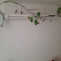 کولر گازی 10000 ال جی