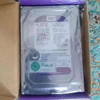 هارد وسترن بنفش ۱ ترابایت