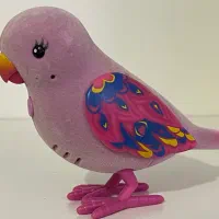 پرنده سخنگو