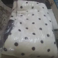 شاهین شهر گلدیس