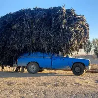 مرکز خرید ضایعات نوار تیپ زنده کیلویی 135 هزار