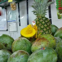 کارگر ماهر زبر زنگ برای میوه فروشی