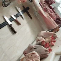 گوشت درجه یک بره ، جگر و کله پاچه