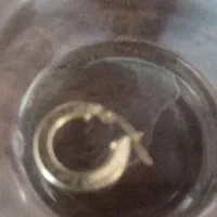 گوشواره گم شده محدوده پارک احمدی روشن و خیابان مهر