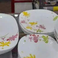 آرکوپال گل شاد رنگی صادراتی کمیاب