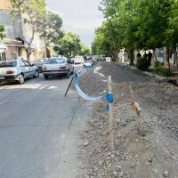 مدیر پروژه (خانم)