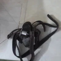 کمربند برزنتی