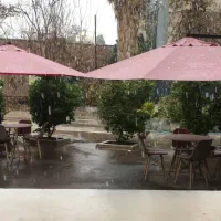نیروی کار مجرب جهت کار در کافه