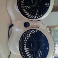 پنک