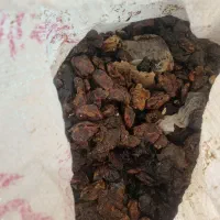 فروش