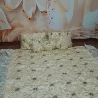 روتختی زیبا