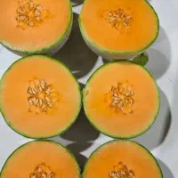 ملون|عمده‌فروشی|کازرون, |دیوار