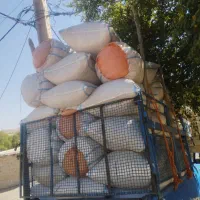 کاه