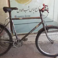 دوچرخه دماوند درهد نو