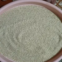 خورده برنج چمپا