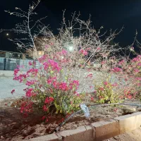 زمین مسکونی پردیس