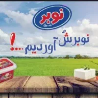 استخدام ویزیتور بازاریاب لبنیات نوبر
