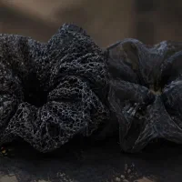فروش کش مو مجلسی ۳۰ تومن