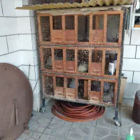 قفس پرنده