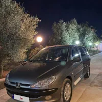 ۲۰۶ دلفینی