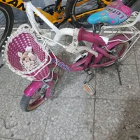 دوتا چرخ  صورتی سایز ۱۶|دوچرخه، اسکیت، اسکوتر|تهران, شاهد|دیوار