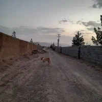 زمین-دیوار-کشی-شده