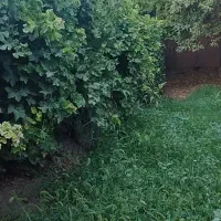 فوری-باغچه-باغ