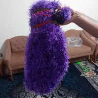 ننوی مسافرتی
